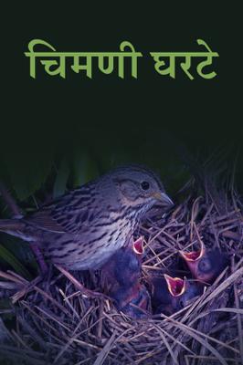 चिमणी घरटे!