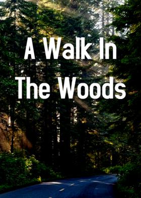 A Walk In The Woods