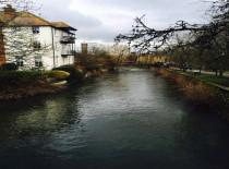 बेबाक बात