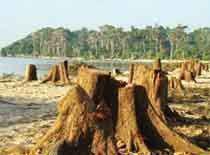 इंतेज़ार