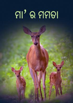 ମା'ର ମମତା