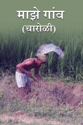 माझे गांव...( चारोळी.)