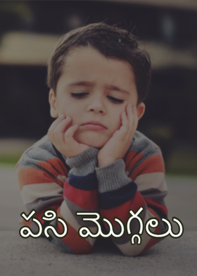 పసి మొగ్గలు