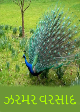 ઝરમર વરસાદ