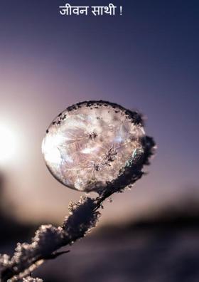 जीवन साथी