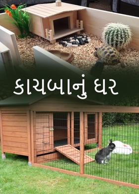 કાચબાનું ઘર