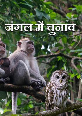 जंगल में चुनाव