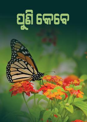 ପୁଣି କେବେ