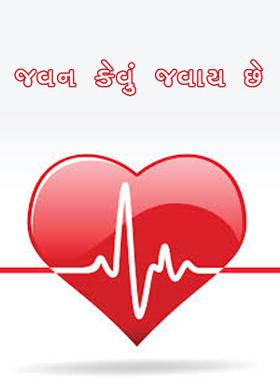 જીવન કેવું જીવાય છે