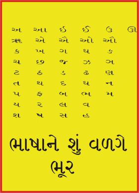 ભાષાને શું વળગે ભૂર