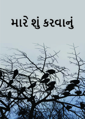 મારે શું કરવાનું