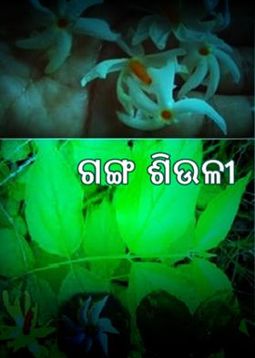 ଗଙ୍ଗ ଶିଉଳୀ