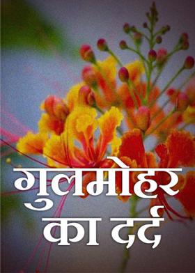 गुलमोहर का दर्द