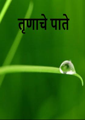 तृणाचे पाते