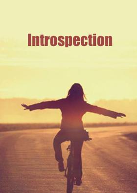Introspection