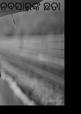 ନବସାରଙ୍କ ଛତା