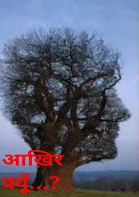 आख़िर क्यूँ ?