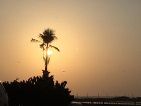 बस कुछ पल...