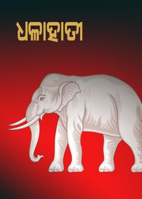 ଧଳାହାତୀ