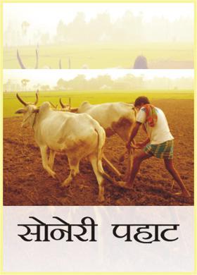 सोनेरी पहाट