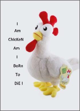 I Am ChIcKeN, Am I BoRn To DiE