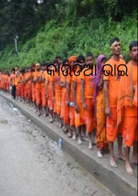 କାଉଡିଆ ଭାଇ