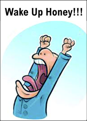 Wake Up Honey!!!