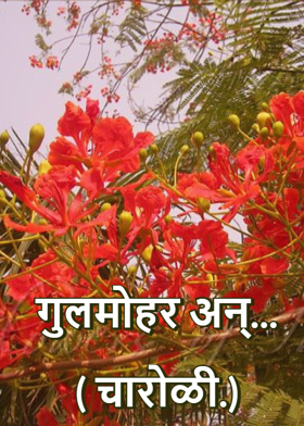 गुलमोहर अन्...( चारोळी.)