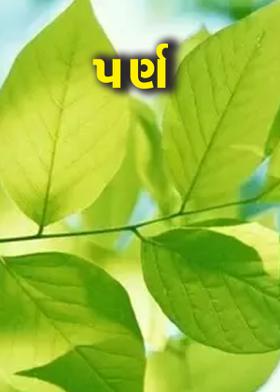 પર્ણ