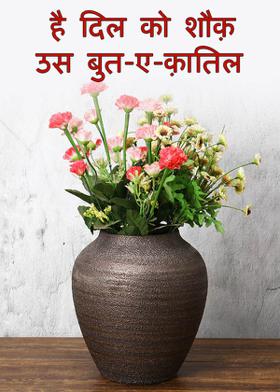 है दिल को शौक़ उस बुत-ए-क़ातिल