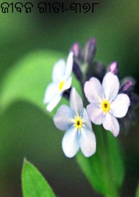 ଜୀବନ ଗୀତା-୩୭୮