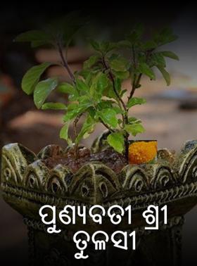 ପୁଣ୍ୟବତୀ ଶ୍ରୀ ତୁଳସୀ