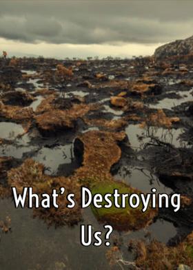 What's Destroying Us?