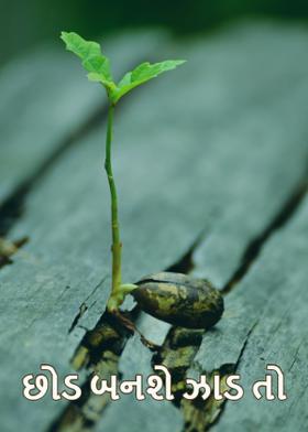છોડ બનશે ઝાડ તો
