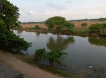 मेरा गाँव 