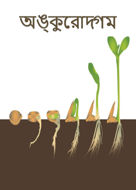 অঙ্কুরোদ্গম