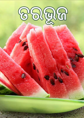 ତରଭୂଜ
