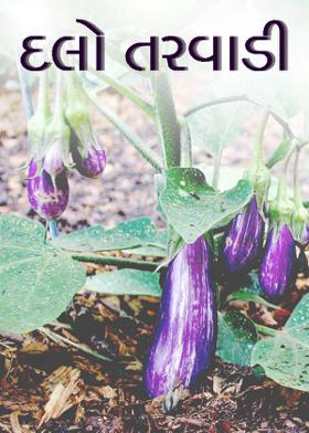 દલો તરવાડી