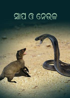 ସାପ ଓ ନେଉଳ