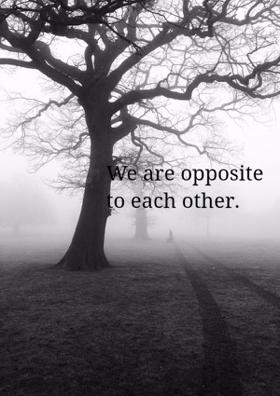 We Are Opposite To Each Other