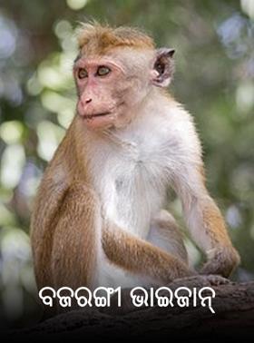 ବଜରଙ୍ଗୀ ଭାଇଜାନ୍