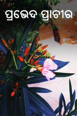 ପ୍ରଭେଦ ପ୍ରାଚୀର