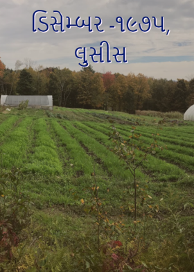 ડિસેમ્બર -૧૯૭૫, લુસીસ