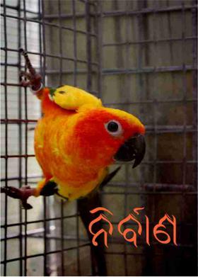 ନିର୍ବାଣ