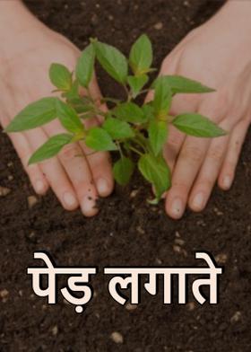 पेड़ लगाते