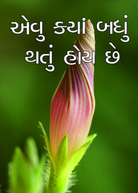 એવુ ક્યાં બધું થતું હોય છે