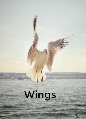 Wings