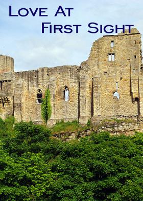 Love At First Sight......