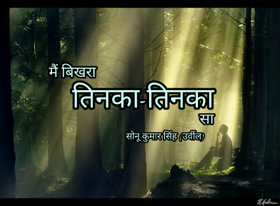 मैं बिखरा तिनका तिनका सा