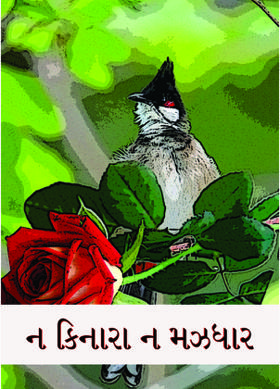 ન કિનારા ન મઝધાર